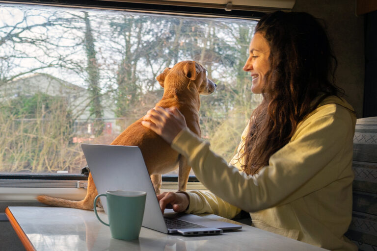 Pet Friendly Motorhome Hire Pet Friendly Motorhome Rentals