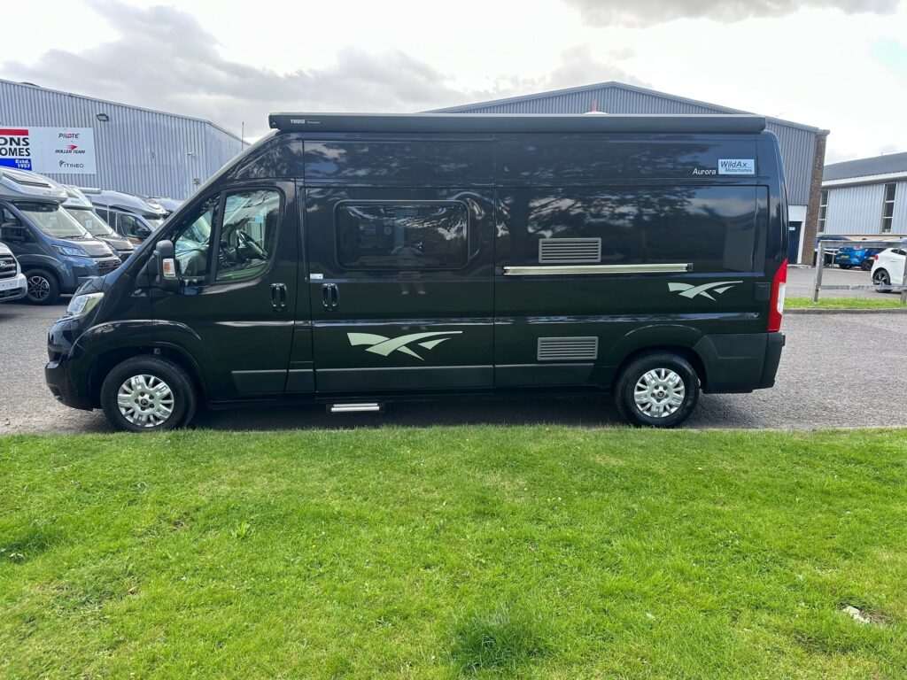 Wildax Aurora